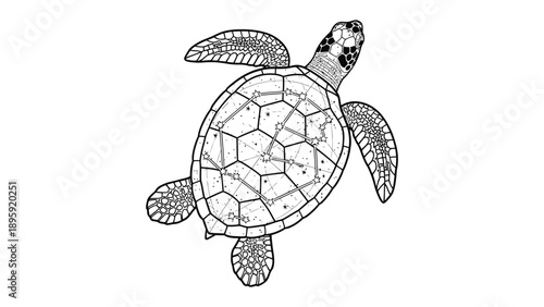 Sea Turtle in the Depths: A detailed line drawing of a sea turtle, its patterned shell and flippers rendered in intricate detail. This artwork encapsulates the grace and beauty of marine life.