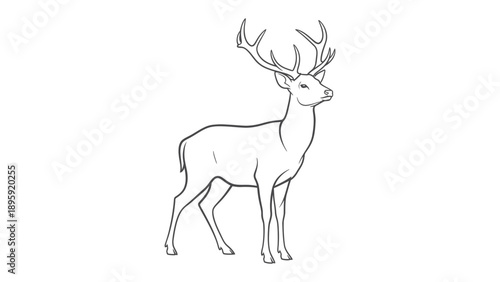 Majestic Deer Line Art: An elegant line drawing of a deer with impressive antlers, showcasing the graceful form of the animal in simple yet refined strokes.