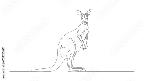 Elegant Kangaroo Silhouette: A minimalist line drawing captures the essence of a kangaroo, its form rendered with a graceful, continuous stroke against a backdrop.
