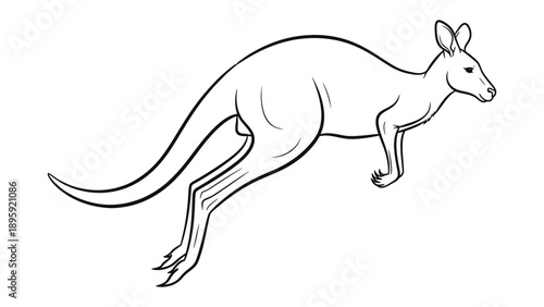 Kangaroo in Action: A dynamic illustration showcases a kangaroo mid-leap, emphasizing agility and movement, capturing the essence of the animal's powerful form.