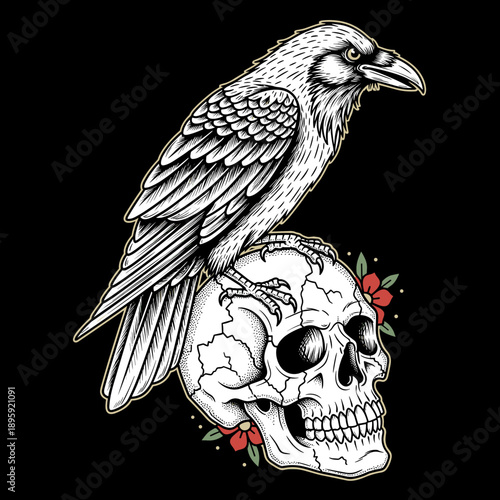 Detailed Illustration of a Raven Perched on a Human Skull.
