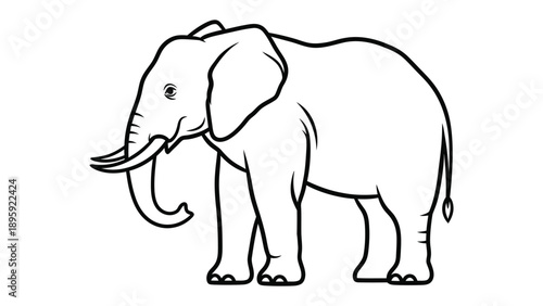 Elephant Illustration: A majestic elephant is shown with intricate black line art on a neutral background. The illustration accentuates the animal's massive frame. 