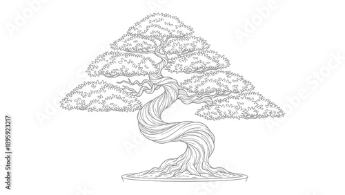 Serene Bonsai Sketch: A detailed sketch of a meticulously crafted bonsai tree, showcasing the artistry and serenity of nature in its minimalist form.