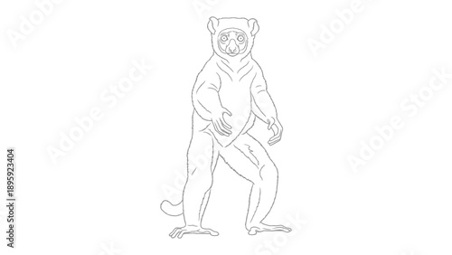 Lemur sketch: A detailed sketch captures the unique form of a lemur, standing with poise. Every stroke brings this exotic animal to life. 