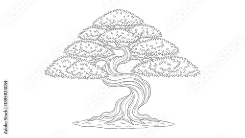 Majestic Bonsai: A finely detailed outline of a bonsai tree, showcasing its meticulously sculpted branches and trunk, embodying the beauty of nature's artistry.