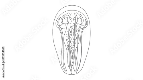 Ocean Wonder: Artistic rendering of a jellyfish, showcasing its delicate structure and graceful form. The image highlights the intricate details and ethereal beauty of the marine life.