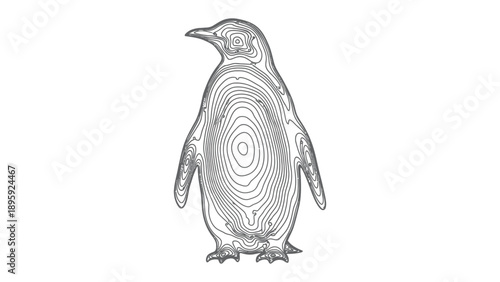 Penguin Contour Art: A minimalist black and white line drawing of a penguin, showcasing the sleek, streamlined form of this adorable flightless bird through intricate contour lines.
