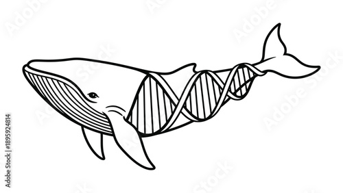 Whale and DNA: A stunning monochrome illustration of a majestic whale, its body intertwined with a double helix of DNA.