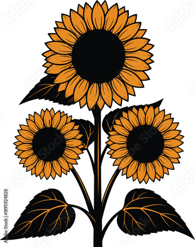 described features a botanical illustration of three sunflowers, showcasing their distinctive characteristics in a graphic style