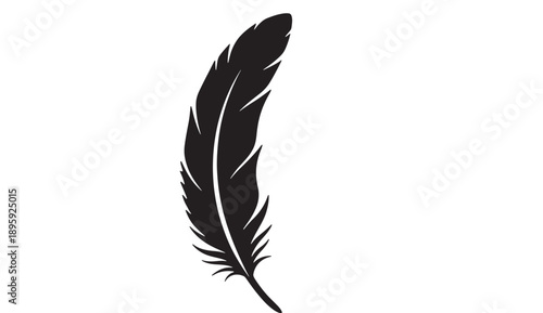 Feather vector icon with detailed serrated edges and smooth curves, representing a stylized feather illustration suitable for design, symbols, logos, or creative projects.