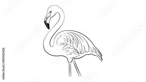Elegant Flamingo Sketch: A refined sketch of a graceful flamingo in a serene pose, its slender form and elegant curves captured in delicate lines, showcasing the beauty of avian design.