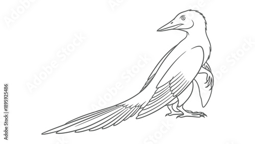 Feathered Ancient Bird Illustration: An artistic illustration captures the form and features of a feathered ancient bird, providing a glimpse into prehistoric avian life.