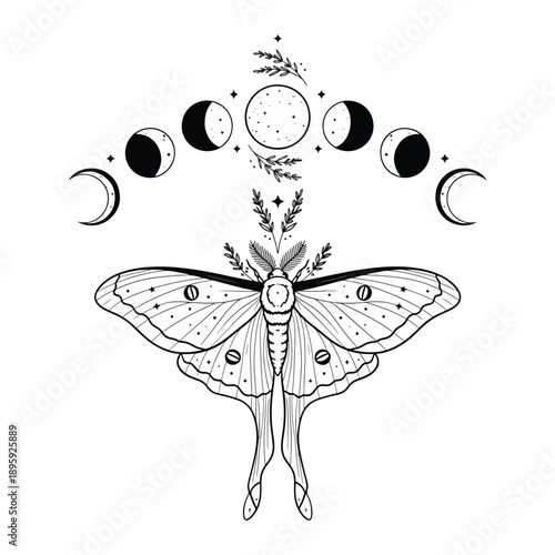 Mystical luna moth with celestial moon phases and botanical elements in black and white line art illustration.