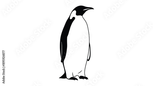 Penguin Silhouette: A sleek, monochrome silhouette of a penguin stands in dignified stillness, its form a testament to the elegant simplicity of nature.