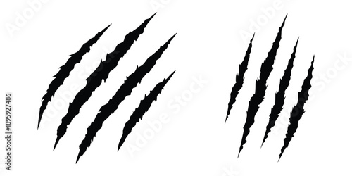 Animal claw scratches mark silhouette vector. Dinosaur claw scratches icon silhouette vector. Tiger, bear, lion scratches sign