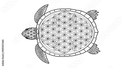 Geometric Turtle: An artistic representation of a turtle, its shell adorned with a intricate geometric pattern symbolizing life's interconnectedness, evoking a sense of balance and harmony.