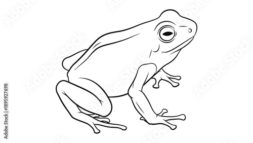 Frog Sketch Illustration: Detailed and clean monochrome line art of a frog, poised and alert. An artistic representation.