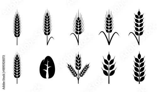 Wheat ears silhouette icon set with grain symbols isolated on white background
