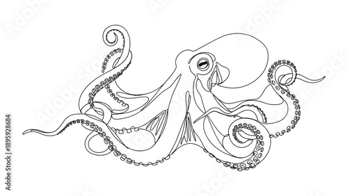 Ocean's Embrace: An intricate illustration of an octopus gracefully displays its tentacles