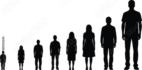 Human growth silhouettes, child to adult height comparison, people size scale evolution concept, black figures isolated white background vector, design