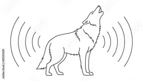 Echoes of the Wild: A stark, minimalist illustration of a solitary wolf, its silhouette outlined against a crisp backdrop, captured in the midst of a haunting howl.