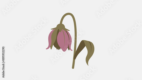 A drooping pink flower, a symbol of sadness, despair, and the complex psychology of life's challenges and emotional states