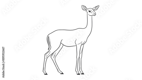 Graceful Gazelle Line Art: A delicate line drawing of a gazelle, showcasing its slender form and elegant posture, a timeless depiction of wildlife artistry.
