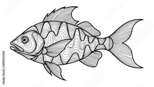 Intricate Fish Illustration: A detailed pen and ink illustration of a fish. Every curve, scale, and fin is meticulously crafted, showcasing the artist's skill and attention to detail. 