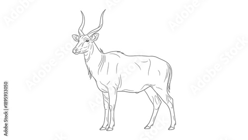 Graceful Antelope Outline: A precise line drawing captures the elegance of an antelope, showcasing its distinctive curved horns and sleek physique. A study in minimalist art and natural form.