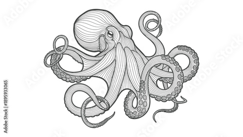 Octopus Ink Illustration: A detailed pen-and-ink illustration of an octopus, its intricate forms and textures highlighted, offering a captivating glimpse into the marine world.