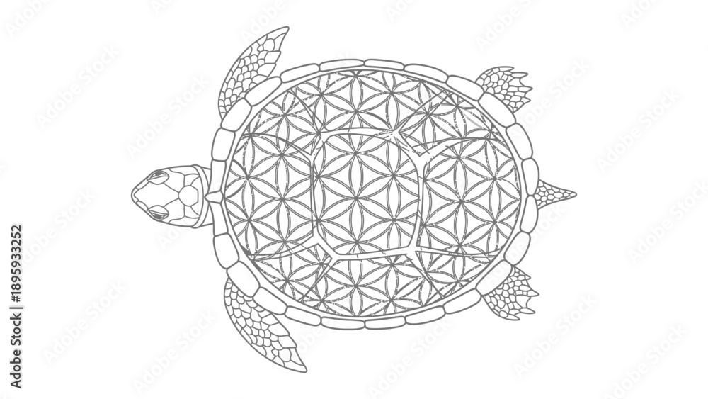 Fototapeta premium Turtle Shell Geometric Design: A meticulously crafted illustration of a turtle shell, featuring a complex geometric design, symbolizes harmony, balance, and the interconnectedness of life.