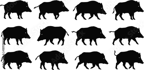 ollection of Wild Boar and Pig Silhouettes, Illustrating Various Poses and Movements, Perfect for Nature, Hunting, Wildlife, and Veterinary Design Concepts.