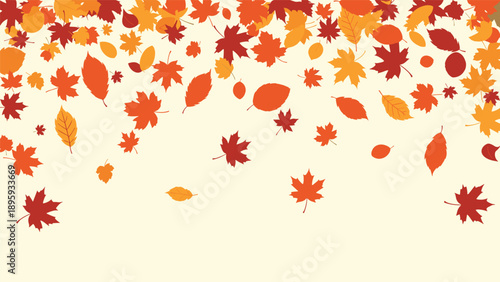 Beautiful background illustration of various colorful autumn leaves like maple and birch falling from the top on a light cream surface.