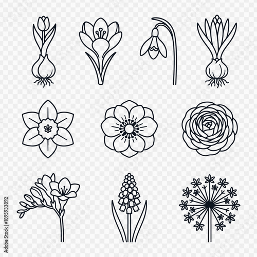 Collection of nine different hand-drawn floral line art illustrations on a transparent background