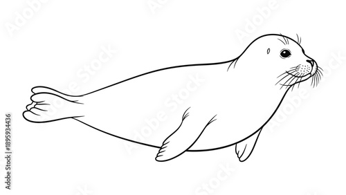 Cute Seal Illustration: An endearing sketch of a playful seal captures its serene essence with clean lines and a charming appeal.