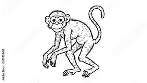 Cartoon Monkey Illustration: A whimsical illustration of a monkey in a playful stance, offering a touch of charm and simplicity, perfect for various creative projects.