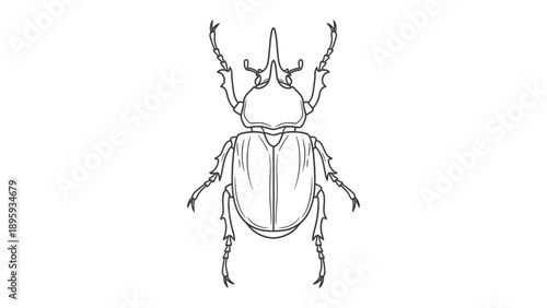 Rhinoceros Beetle Illustration: A detailed line drawing of a rhinoceros beetle showcases its impressive form. 