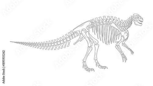 Dinosaur Skeleton: Detailed outline of a dinosaur skeleton, highlighting its ancient structure and anatomy, showcasing a window into prehistoric life and the fascinating field of paleontology.