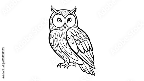 Wise Owl Illustration: A detailed pen-and-ink illustration of a majestic owl, known for wisdom, capturing its watchful gaze and intricate feather detail.