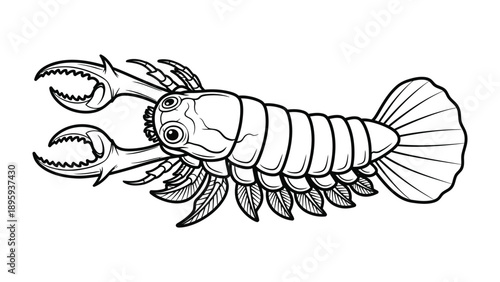 Monochromatic Sea Creature: A detailed monochrome illustration of a marine invertebrate, showcasing intricate details and textures, perfect for a scientific or artistic context.