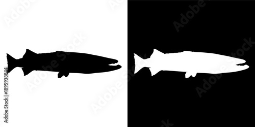 Silhouette of a Salmon Fish in Black and White.