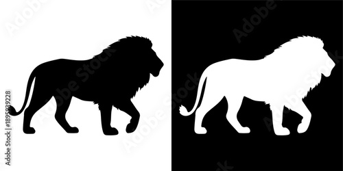 Silhouette of a majestic lion walking, black and white contrast.
