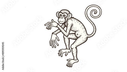 Playful Primate Illustration: A charming illustration captures the inquisitive nature of a monkey, rendered in a simple yet engaging style.