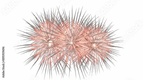 Close-up of a spiky sea urchin spine illustration