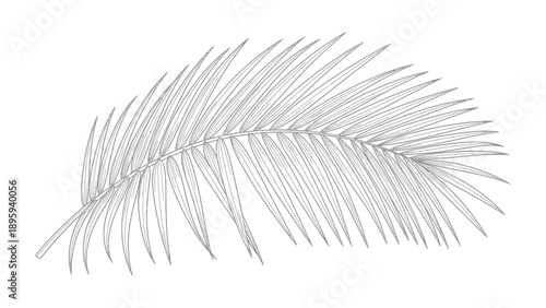 Palm Leaf Outline: Delicate lines sketch a graceful palm leaf, evoking a sense of tropical tranquility and natural artistry. 