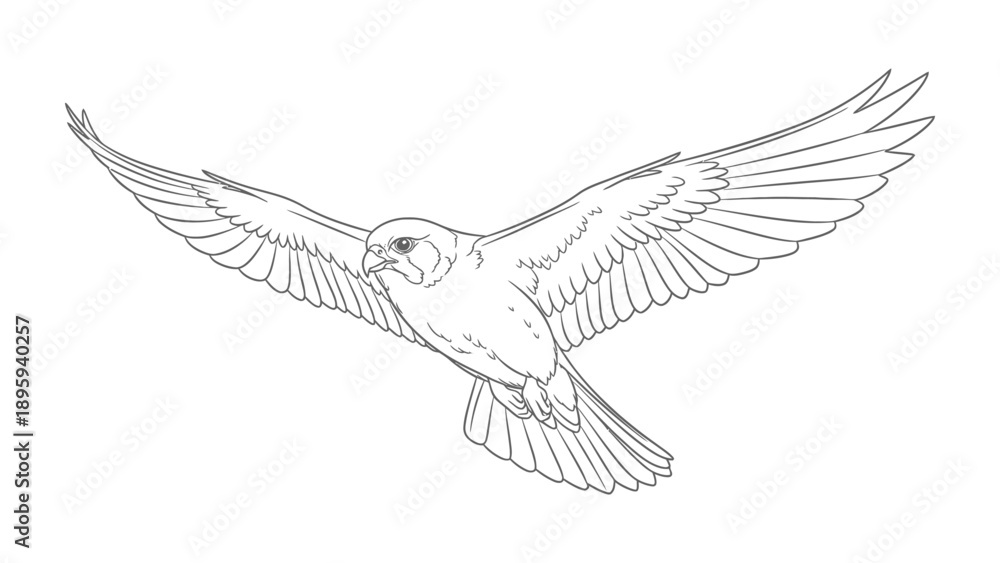 Obraz premium soaring Eagle: An intricately detailed line art illustration of an eagle in mid-flight, wings fully extended, showcasing the bird's graceful form and powerful presence.