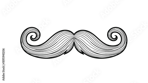 Detailed illustration of a classic curly mustache with many fine lines represents vintage style and grooming for men in a graphic art style.