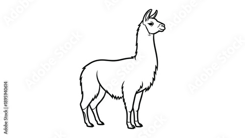 Llama Line Art: A sleek, minimalistic illustration of a llama in a simple, elegant style, perfect for various creative projects.