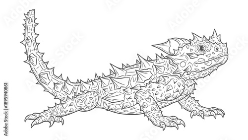 Spiked Lizard: A detailed illustration captures the unique textures of a horned lizard, emphasizing its spiky scales, intricate patterns, and formidable appearance.