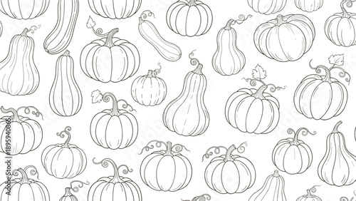Detailed black and white line art pattern of various pumpkins and squashes with curly vines on a white background for coloring or design.